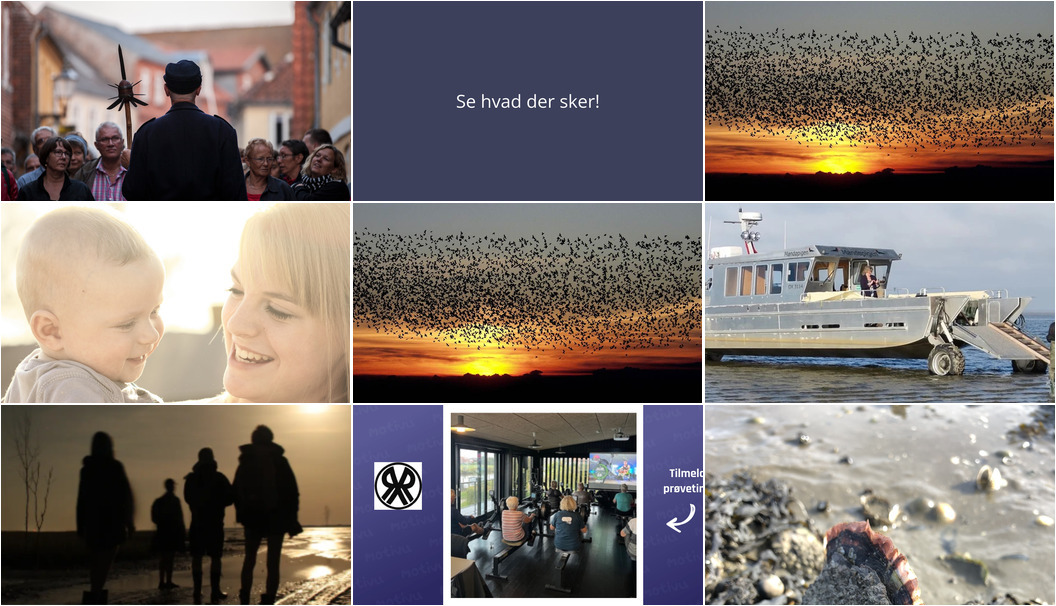 Ugen i Ribe: Historiske vægterrundgange, magisk Sort Sol og børnelopper