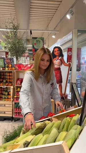opslagsbillede