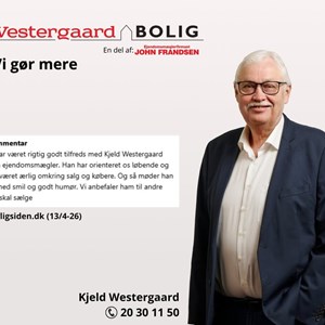 Opslagsbillede