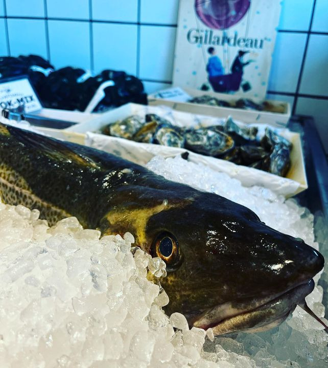 Opslagstavlen: Nyeste opdateringer fra Risskov