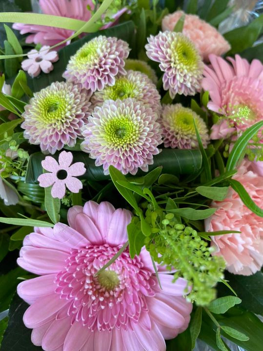 Hold dig ajour med dagens opdateringer fra Roslev