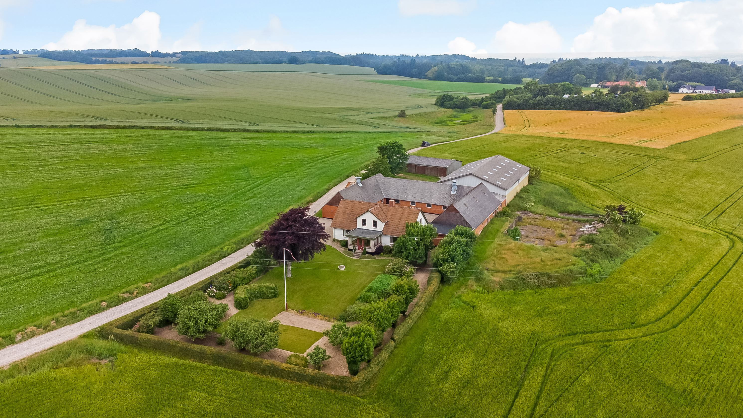 Det nyeste på Horsens’ opslagstavle