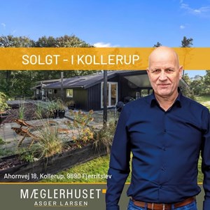 opslagsbillede