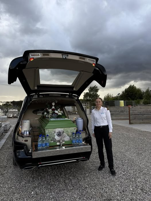 Bedemand Haack V/Jørgen Haack deltager i E-DUR by night i Dianalund