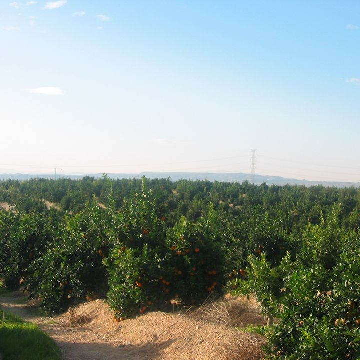 En finger på pulsen i Viby J