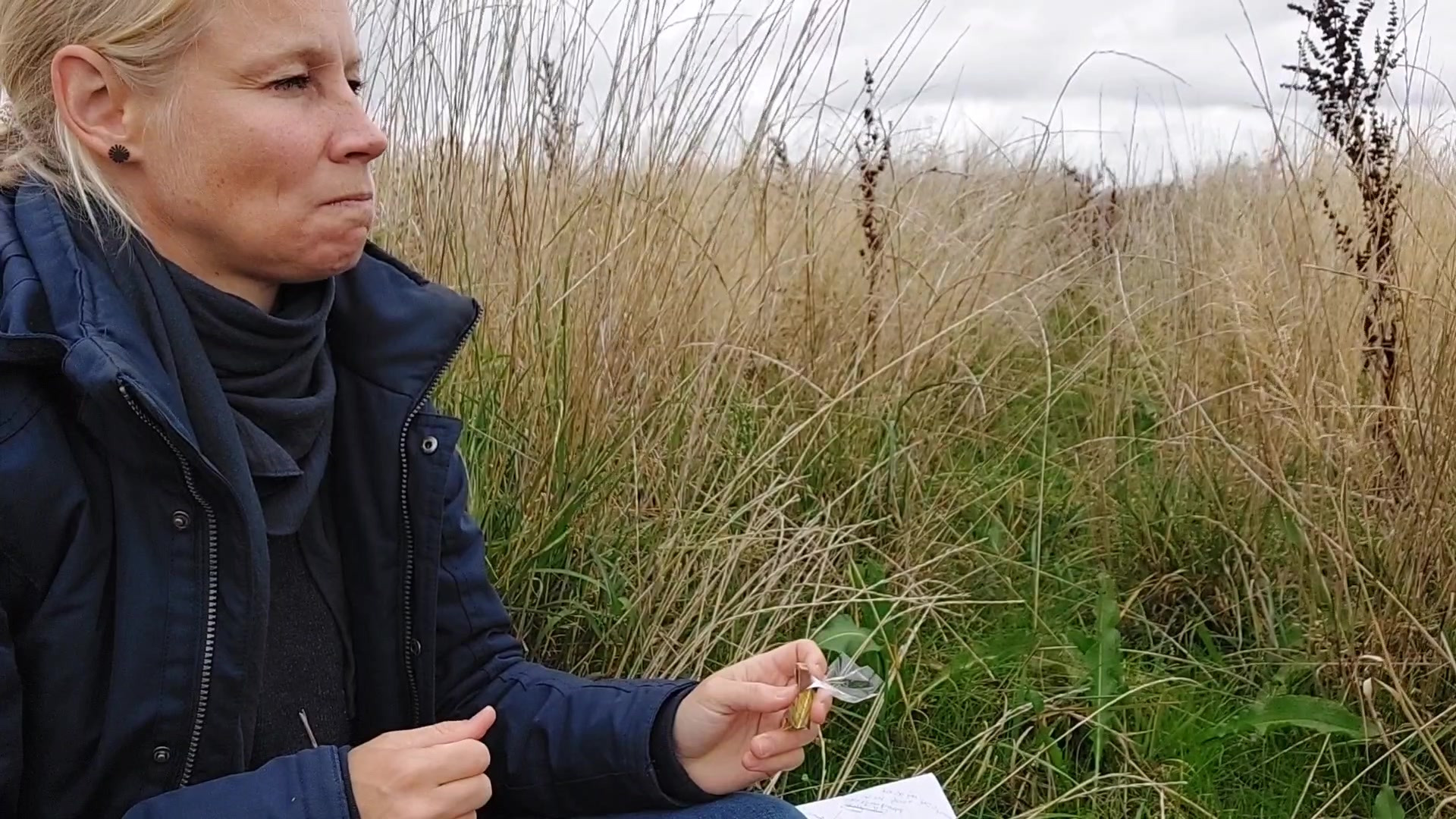 Hold dig ajour med dagens opdateringer fra Hammel