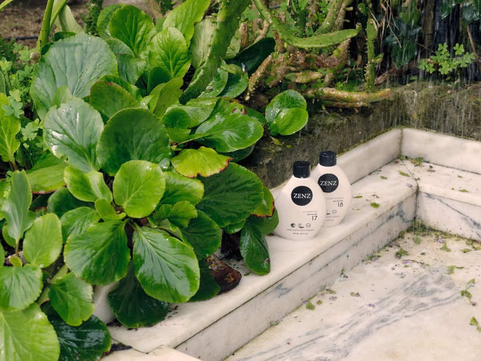 Zenz anbefaler: Sådan plejer du dine krøller med kaktus produkter