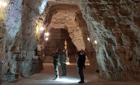 Oplev flagermusenes verden i Thingbæk Kalkminer