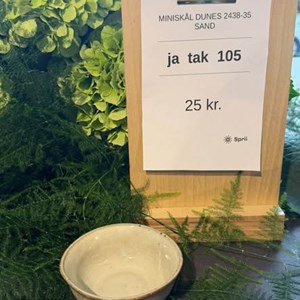 Opslagsbillede