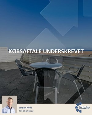 opslagsbillede