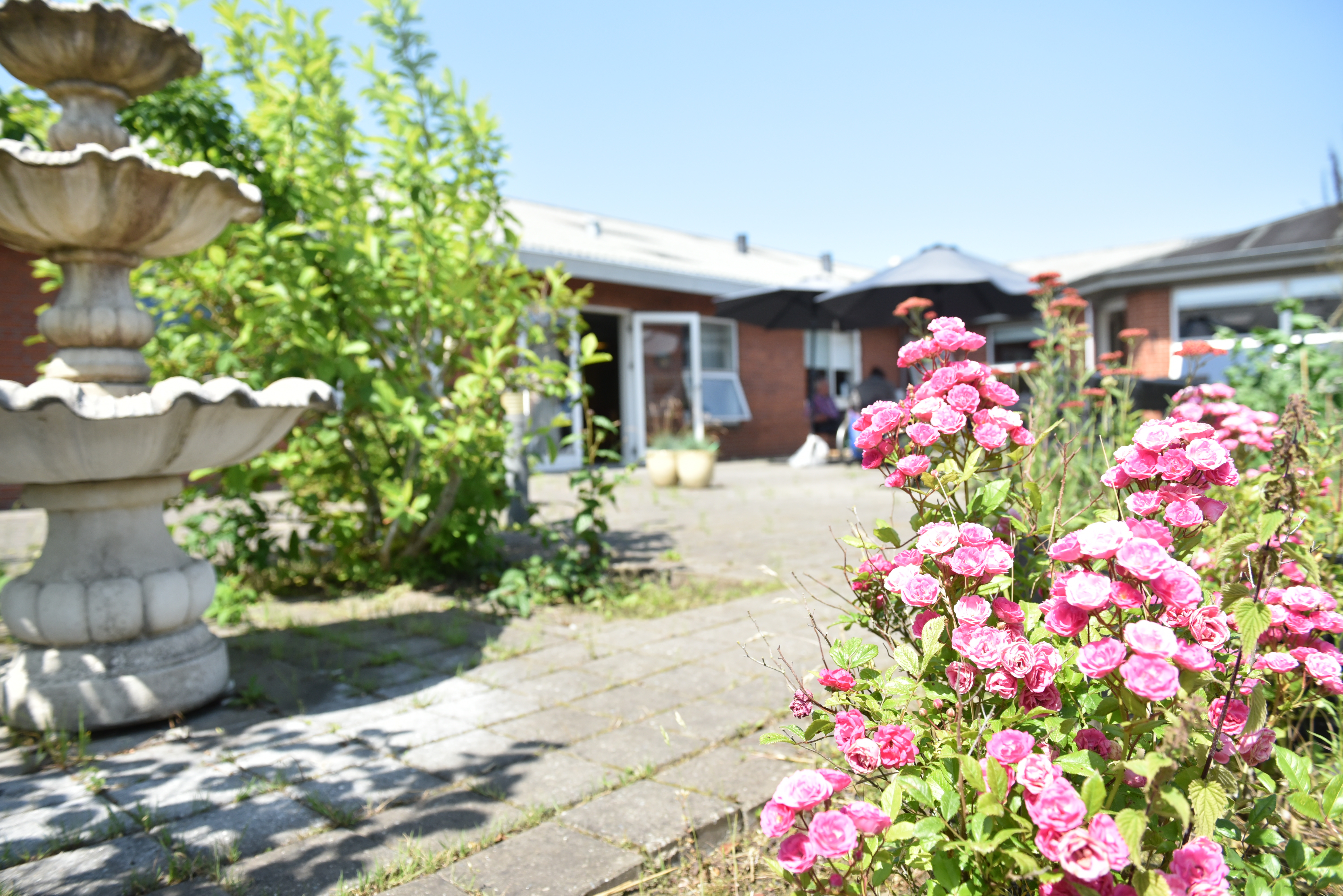 Stort trivselsprojekt på Terneparken