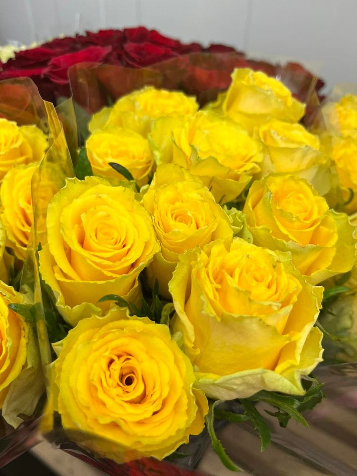 Opslagstavlen: Nyeste opdateringer fra Hedensted