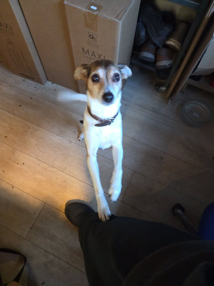 Flore Vida takker kunder og team for en fantastisk juleperiode