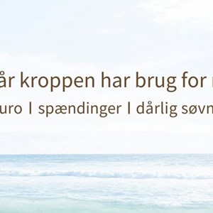 Opslagsbillede
