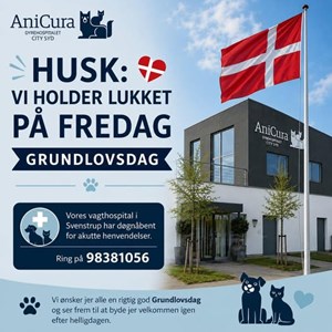 Opslagsbillede