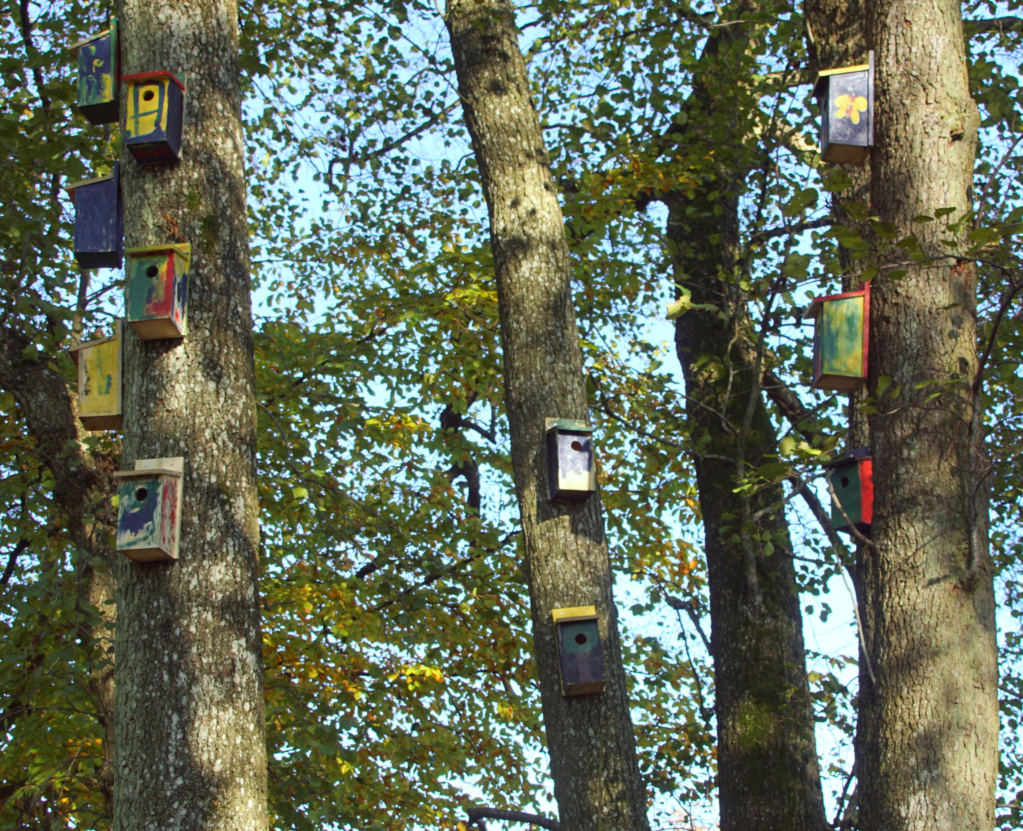 26 farverige redekasser i Dyrehaven