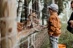 Mange spændende sommeraktiviteter i Givskud ZOO