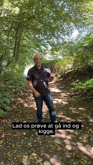 opslagsbillede