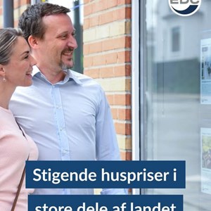 Opslagsbillede