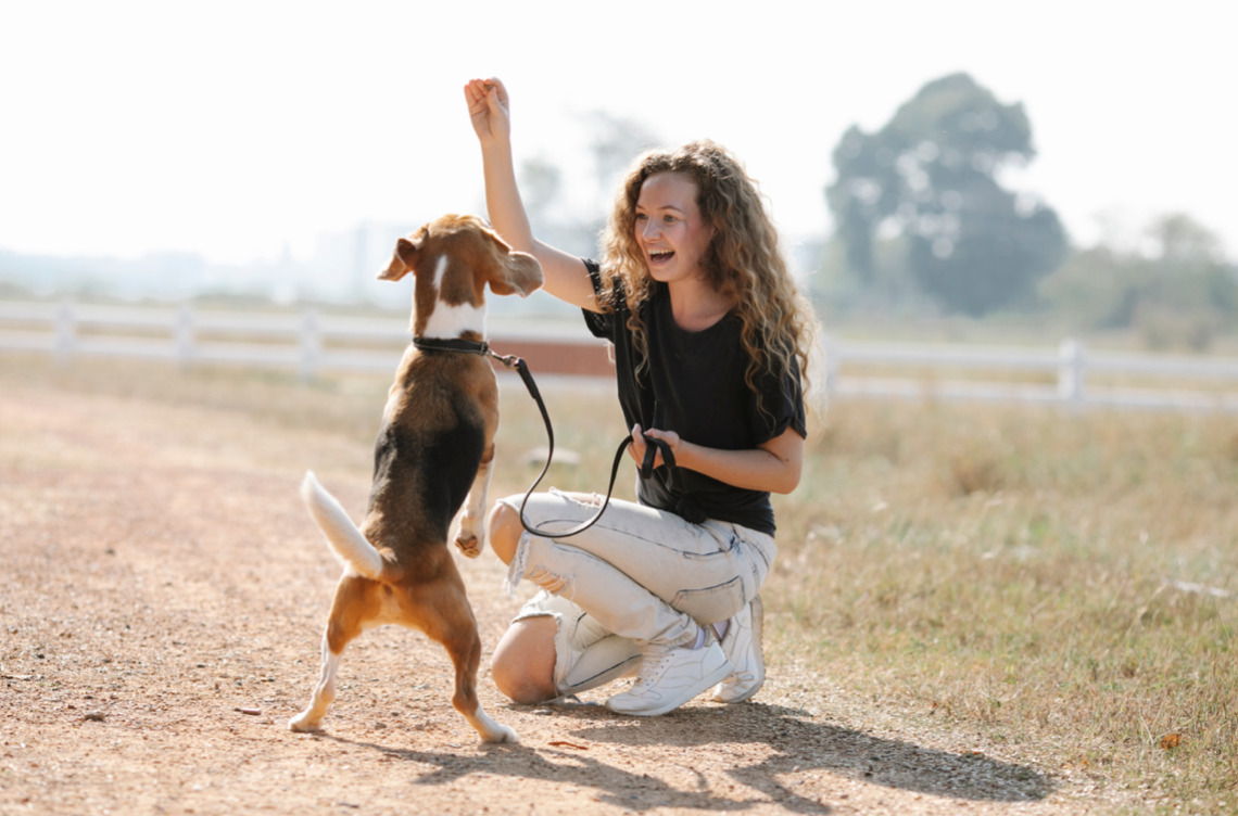 Mangler du noget sjovt at lave med din hund? 