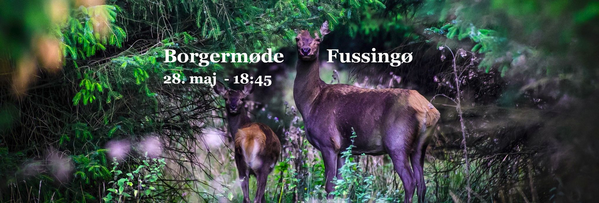 BORGERMØDE - HEGN OM FUSSINGØ? 28. MAJ 2024