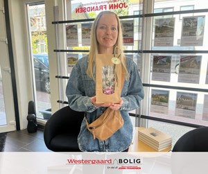 opslagsbillede