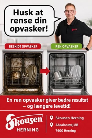 opslagsbillede