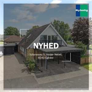 opslagsbillede