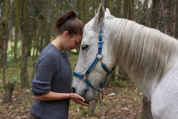 TERAPEUTISK FRIHEDS DRESSUR MED HESTE
