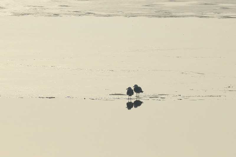 Vandretur fra Søvind til Horsens med Dansk Vandrelaug
