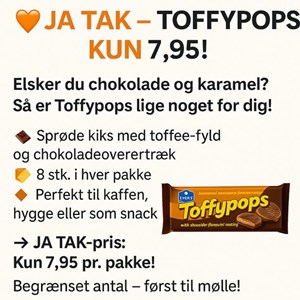 opslagsbillede