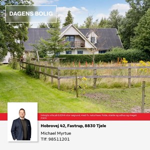 opslagsbillede