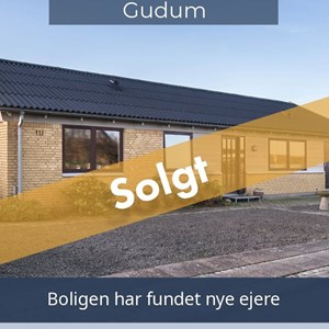 Opslagsbillede