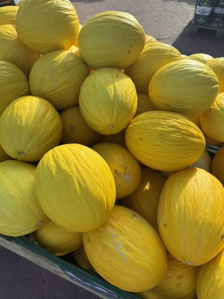 REMA 1000 Ringsted på Jyllandsgade byder på friske sommerfrugter til gode priser