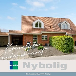 opslagsbillede