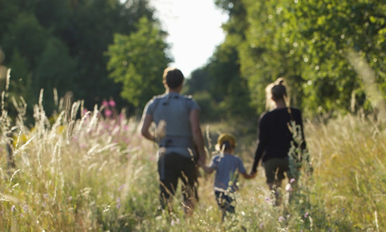 Ny biodiversitetspolitik skal sikre en rigere natur
