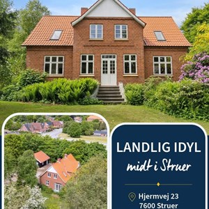 Opslagsbillede