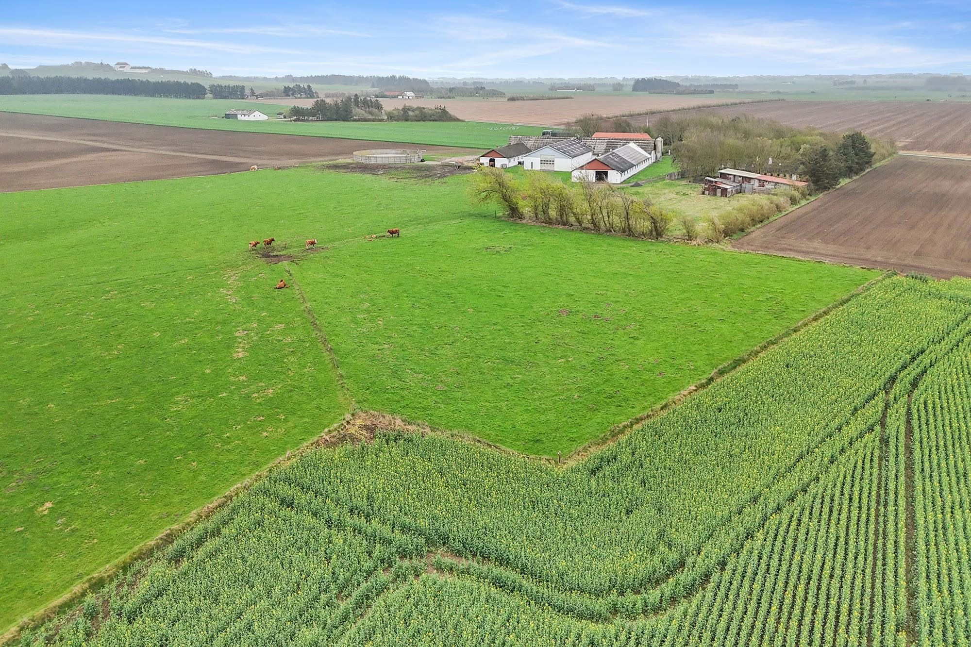 Renoveringsprojekt med naturskøn beliggenhed nær Løkken fra Mæglerhuset Vestkysten I/S