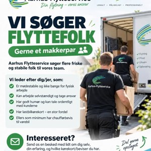 Opslagsbillede