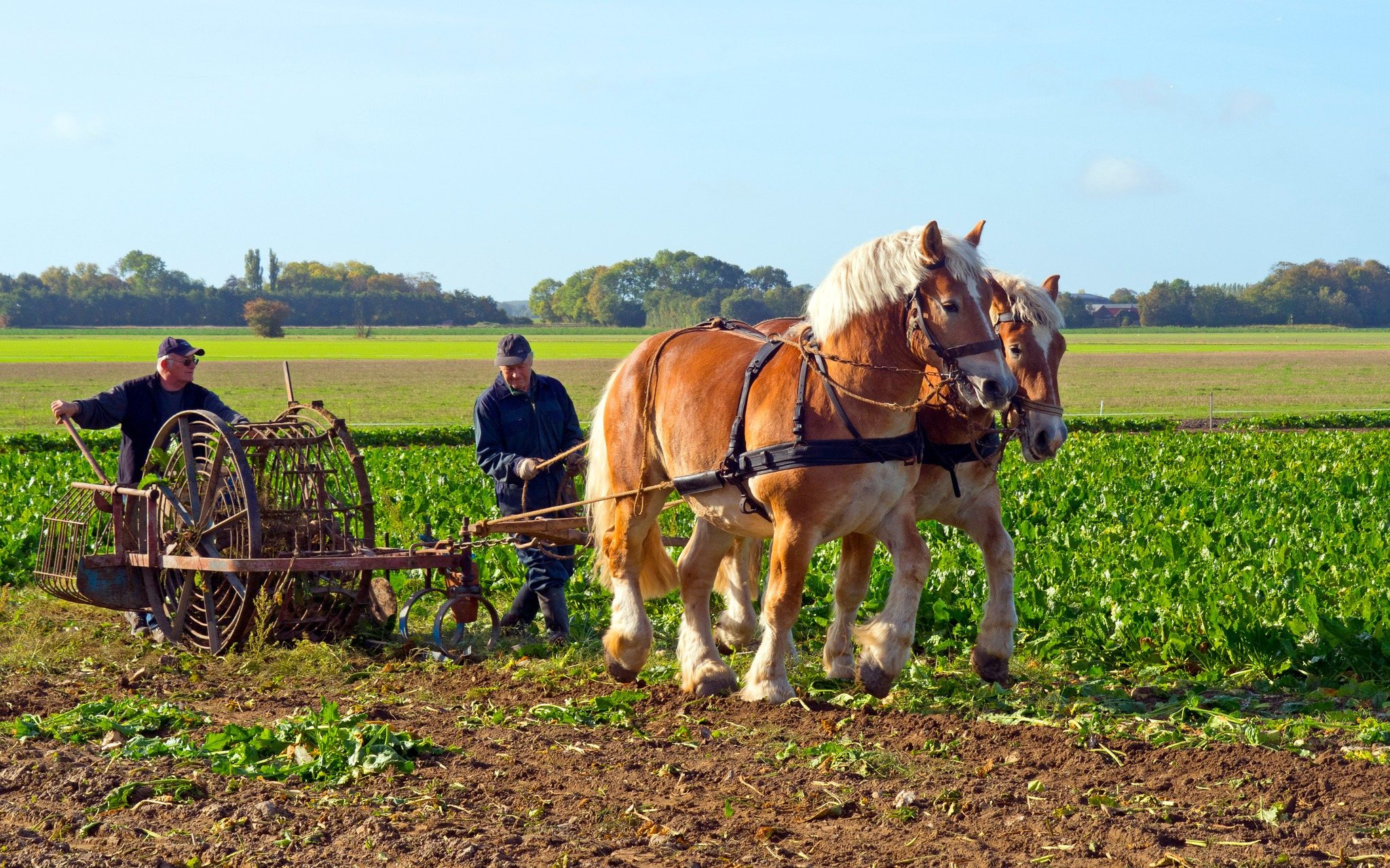 Historiske landbrugsredskaber udstilles på Axeltorv i Nakskov