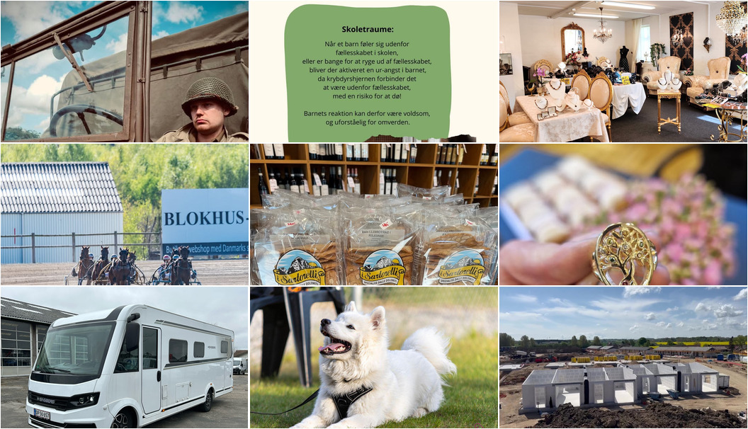 Nyt fra Museerne i Holstebro, Lahvino Wine & Spirits, BioCirc Trav Arena Skive og 7 andre