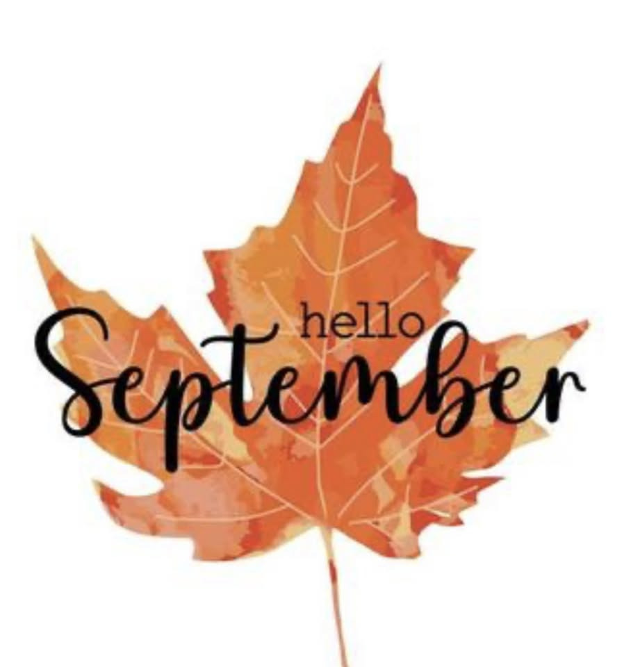 Kerteminde Cannonball løber gennem byen i september