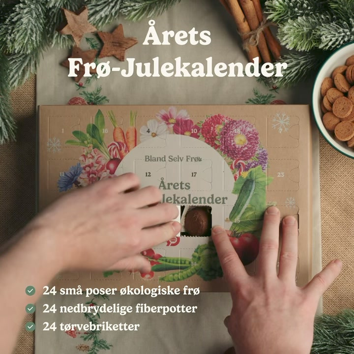Meny Klarup lancerer årets økologiske frø-julekalender på Facebook fredag