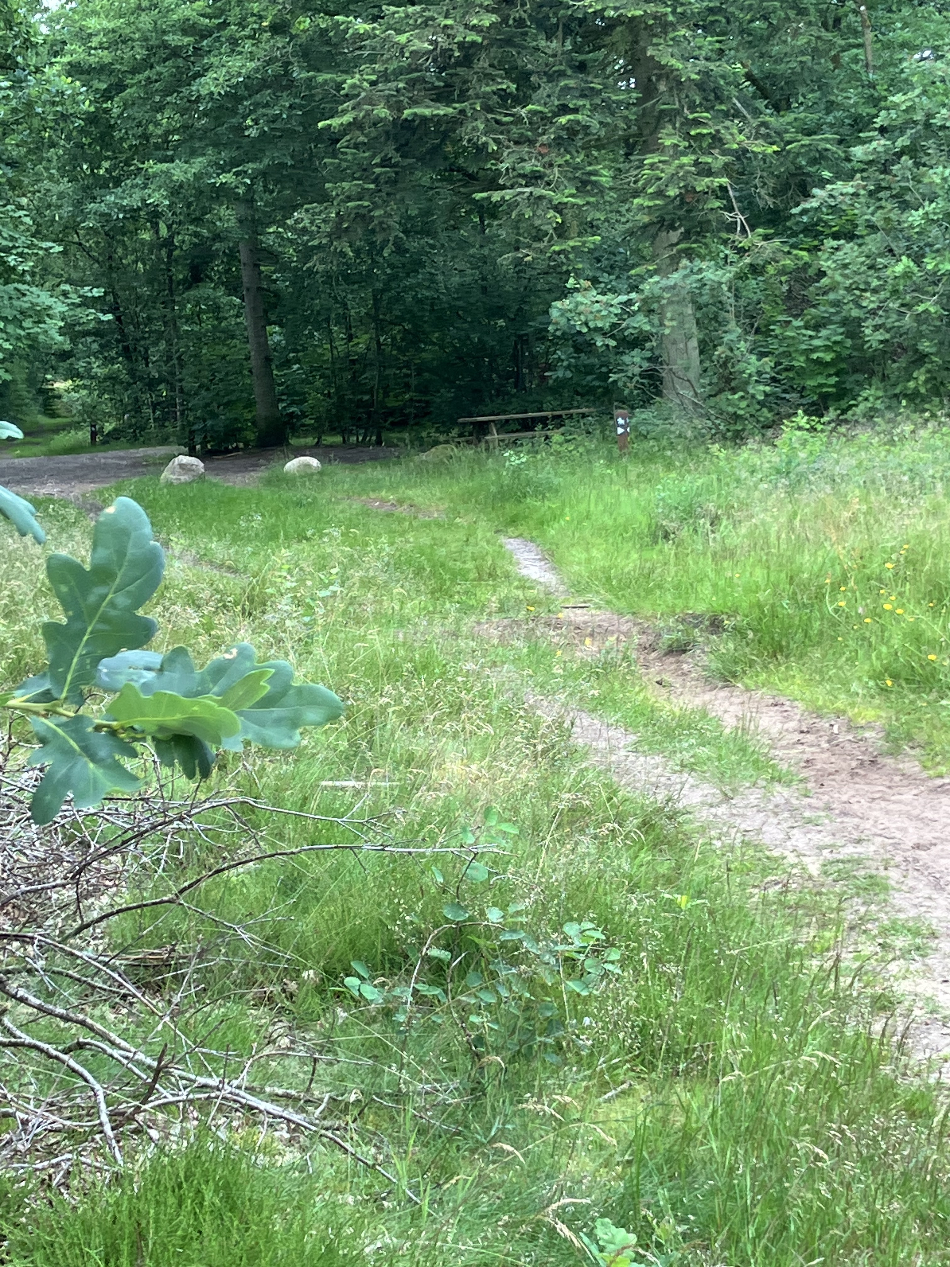 Tag med på gåtur i Bjerregrav med Gå-gruppen Viborg