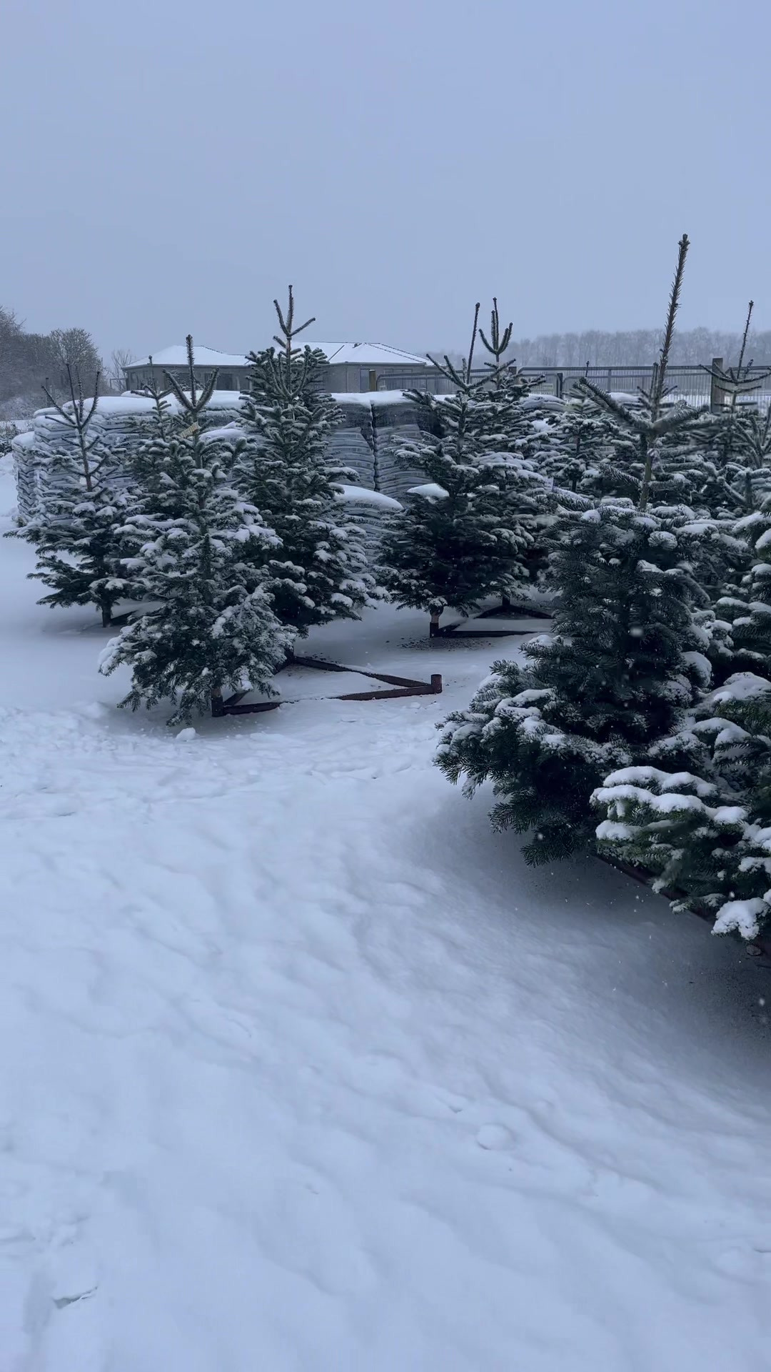 Opslagstavlen: Nyeste opdateringer fra Odder