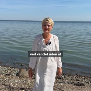 Opslagsbillede