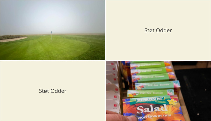 Nyt fra Midtjysk blomstermarked  og StensballeGaard Golfklub