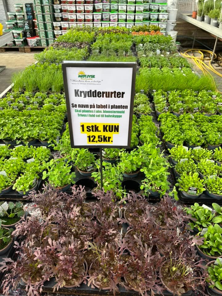 Nyt på opslagstavlen i Horsens