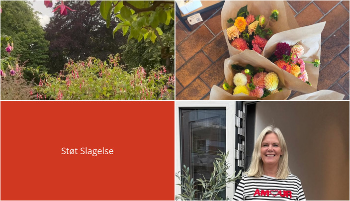 Nyt fra Only Curves, Flore Vida og Bruuns Chokolade