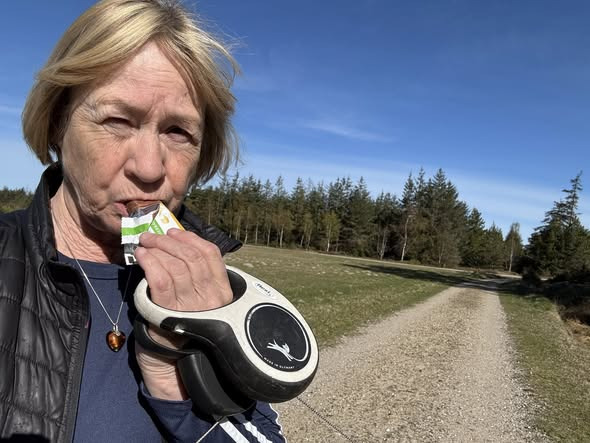 Houen Life Power deler tips til mellemmåltider på turen med hunden i skoven